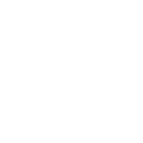 Structural Detailing